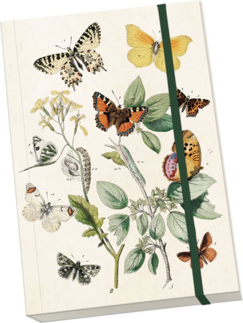 -: Notýsek Butterflies