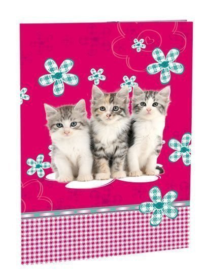 neuveden: Školní desky na abecedu - Cats
