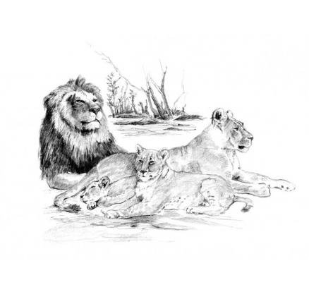 neuveden: Royal Langnickel Malování skicovacími tužkami 39 x 28,5 cm/mix 4 motivů