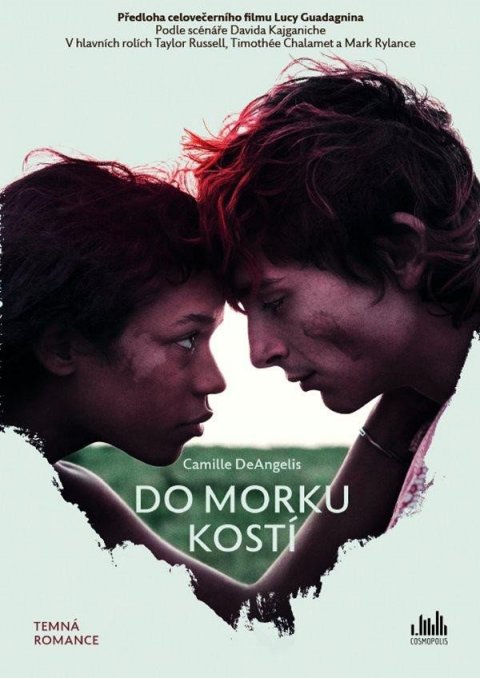 DeAngelis Camille: Do morku kostí DeAngelis Camille: Do morku kostí