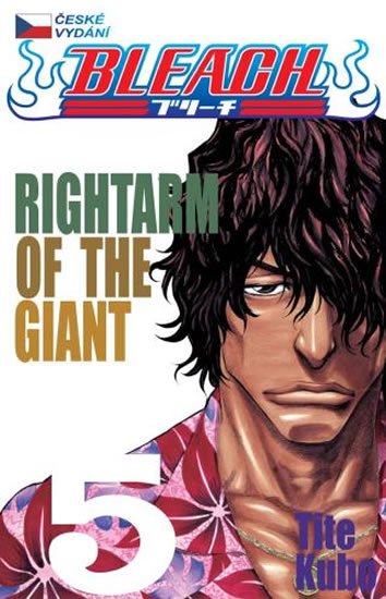 Kubo Tite: Bleach 5: Right Arm of the Giant