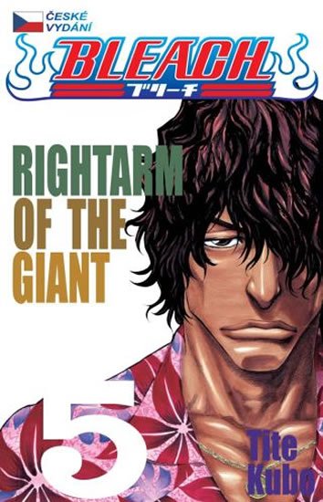 Kubo Tite: Bleach 5: Right Arm of the Giant Kubo Tite: Bleach 5: Right Arm of the Giant