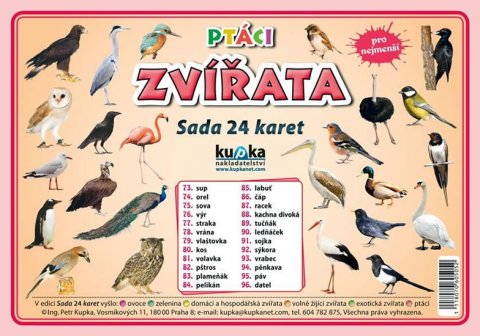 kolektiv autorů: Ptáci zvířata - Sada 24 karet