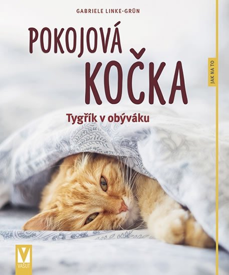 Linke-Grün Gabriele: Pokojová kočka - Jak na to