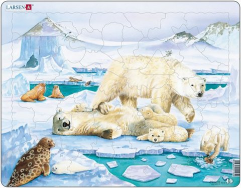 neuveden: Puzzle MAXI - Medvědí rodinka/53 dílků
