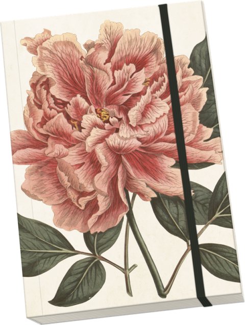 -: Notýsek Peony