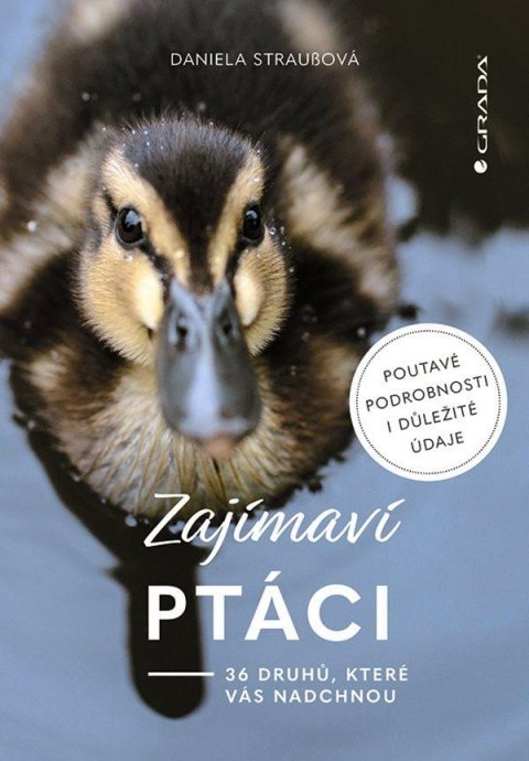 Straußová Daniela: Zajímaví ptáci - 36 druhů, které vás ohromí Straußová Daniela: Zajímaví ptáci - 36 druhů, které vás ohromí
