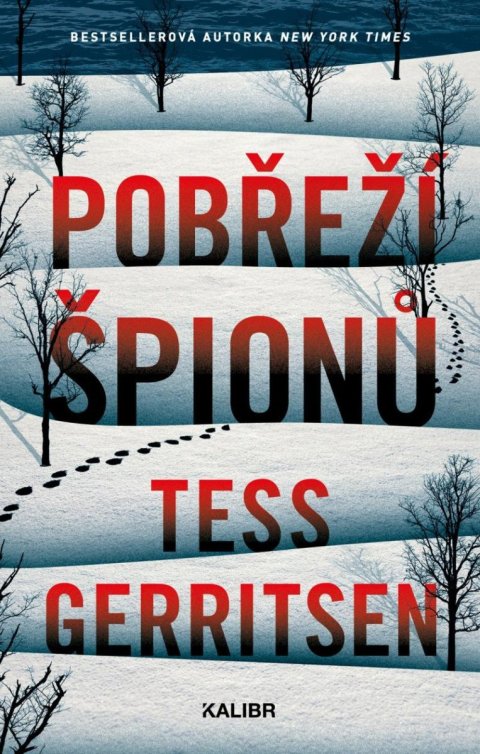 Gerritsenová Tess: Pobřeží špionů Gerritsenová Tess: Pobřeží špionů