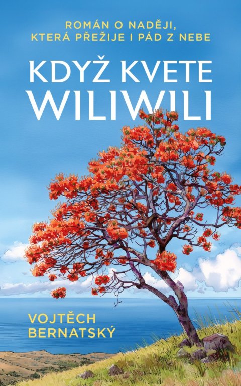 Bernatský Vojtěch: Když kvete wiliwili - Román o naději, která přežije i pád z nebe