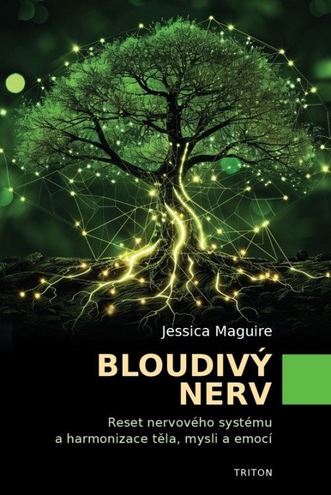 Maguire Jessica: Bloudivý nerv