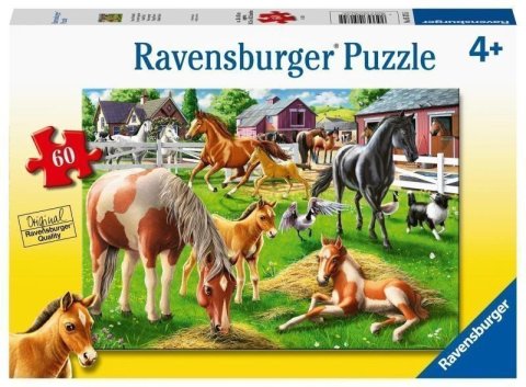 neuveden: Ravensburger Puzzle - Šťastní koně 60 dílků
