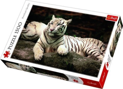 neuveden: Trefl Puzzle Bengálský tygr / 1500 dílků