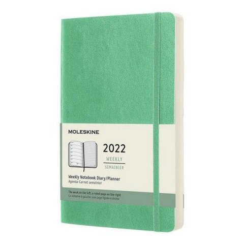neuveden: Moleskine Plánovací zápisník 2022 zelený L, měkký