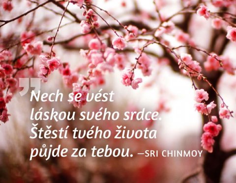 Chinmoy Sri: Magnet na lednici - Nech se vést láskou svého srdce. Štěstí tvého života pů Chinmoy Sri: Magnet na lednici - Nech se vést láskou svého srdce. Štěstí tvého života pů