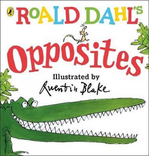 Dahl Roald: Roald Dahl´s Opposites : (Lift-the-Flap)