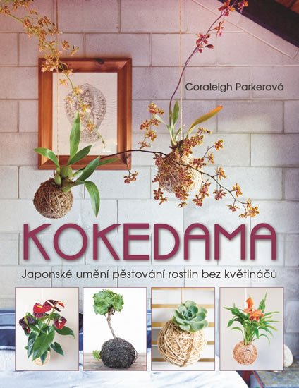 Parkerová Coraleigh: Kokedama - Japonské umění pěstování rostlin bez květináčů