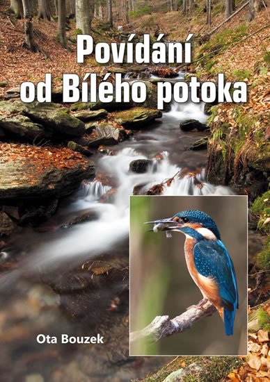 Bouzek Ota: Povídání od Bílého potoka