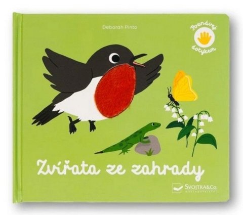 Pinto Deborah: Zvířata ze zahrady - Poznávej dotykem