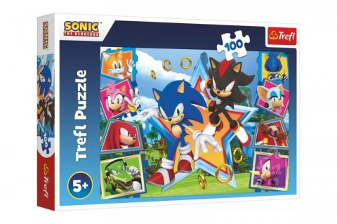 neuveden: Puzzle Sonic: Seznamte se s ježkem 100 dílků