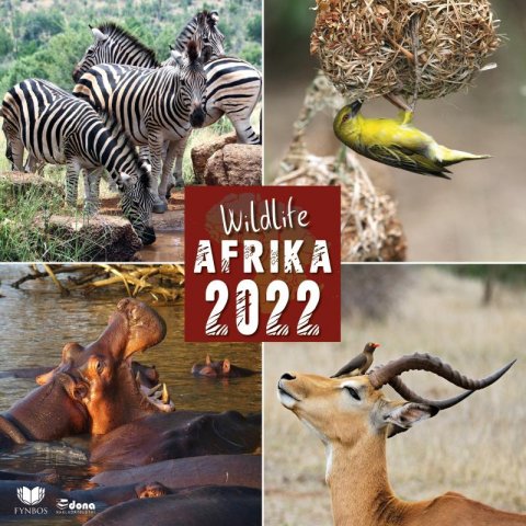 neuveden: Kalendář 2022 Wildlife Afrika - nástěnný