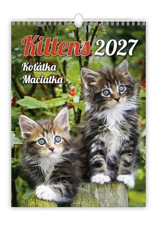 : Kalendář nástěnný 2027 - Kittens/Koťátka/Mačičky