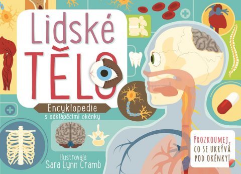 Cramb Sara Lynn: Lidské tělo - Encyklopedie s odklápěcími okénky