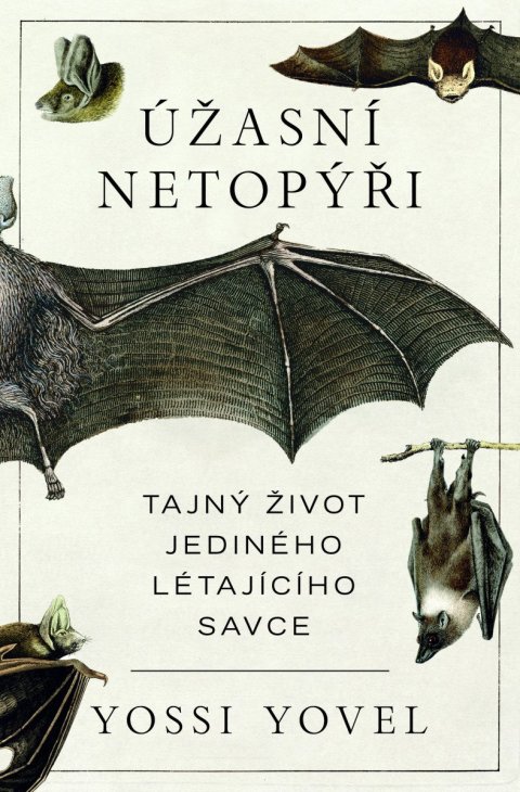 Yovel Yossi: Úžasní netopýři