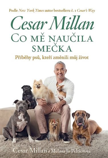 Millan Cesar: Co mě naučila smečka Millan Cesar: Co mě naučila smečka