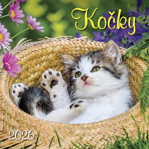 neuveden: Kalendář 2026 Kočky, nástěnný, 33 x 33 cm
