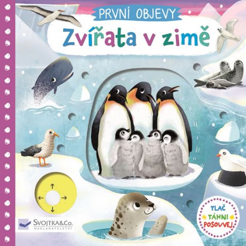 Wren Jenny: První objevy - Zvířata v zimě Wren Jenny: První objevy - Zvířata v zimě