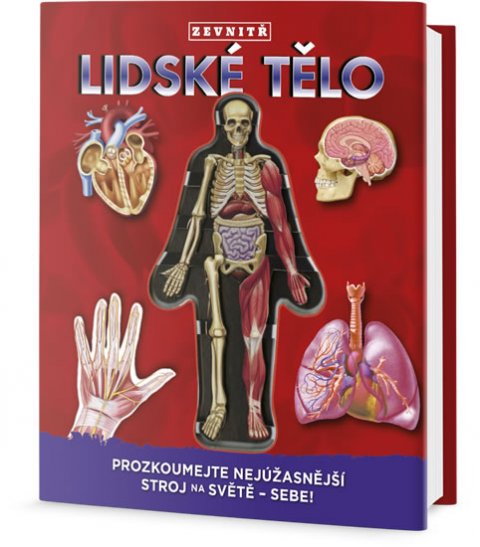Colombo Luann: Lidské tělo zevntiř: Prozkoumej nejúžasnější stroj na světě - sebe!