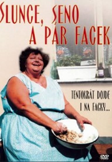 Troška Zdeněk: Slunce, seno a pár facek - DVD