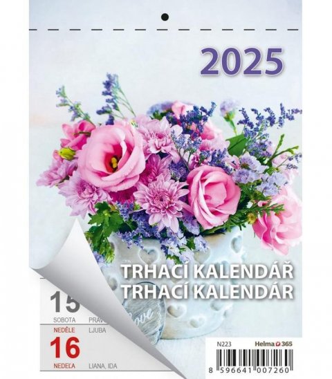 neuveden: Kalendář nástěnný 2025 - Týdenní trhací kalendář A6 / Týždenný trhací kalen