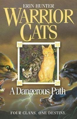 Hunterová Erin: A Dangerous Path