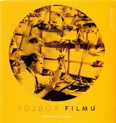 Kokeš Radomír D.: Rozbor filmu