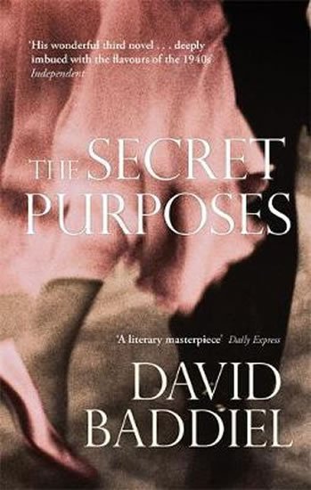 Baddiel David: The Secret Purposes