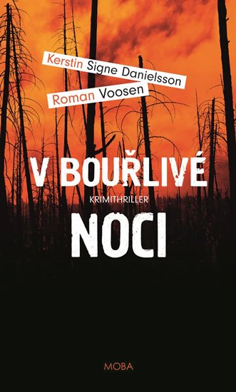 Voosen Roman: V bouřlivé noci