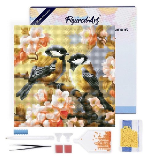 : Mini diamantové malování - Dva Ptáčci Na Kvetoucí Větvičce na rámu 25x25cm