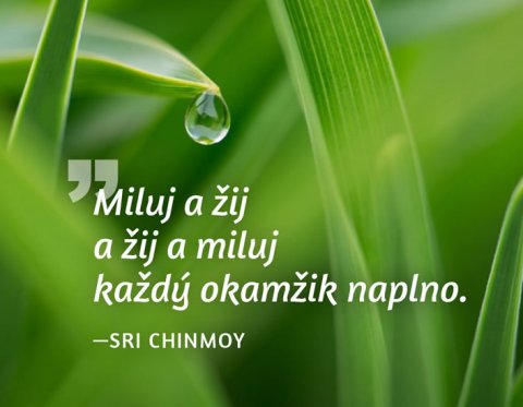 Chinmoy Sri: Magnet na lednici - Miluj a žij a žij a miluj každý okamžik naplno. Chinmoy Sri: Magnet na lednici - Miluj a žij a žij a miluj každý okamžik naplno.