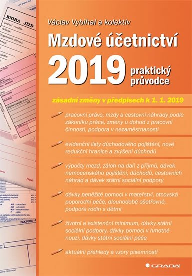 Vybíhal Václav: Mzdové účetnictví 2019 - praktický průvodce