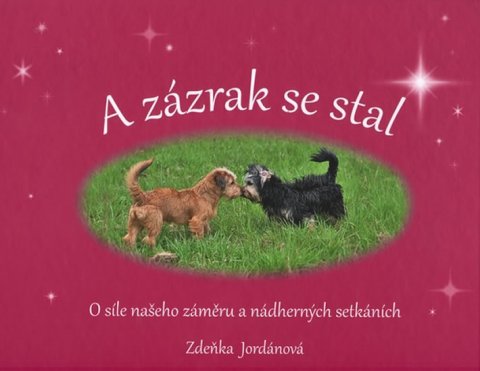 Jordánová Zdeňka: A zázrak se stal Jordánová Zdeňka: A zázrak se stal
