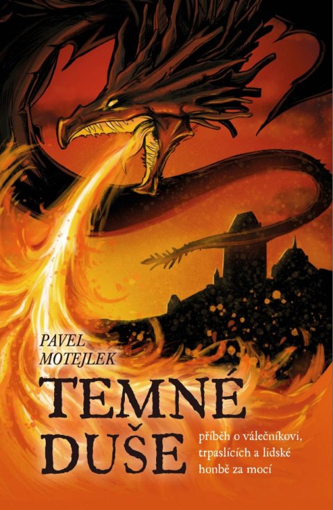 Motejlek Pavel: Temné duše - příběh o válečníkovi, trpaslících a lidské honbě za mocí