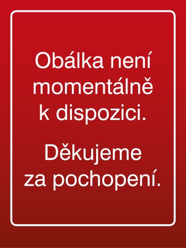 Kuncová Martina: Techniky projektového řízení a finanční analýza projektů