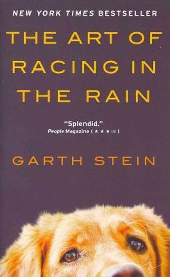 Stein Garth: The Art of Racing in the Rain