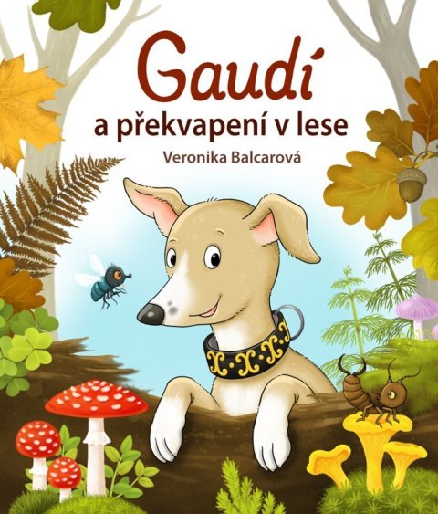 : Gaudí a překvapení v lese