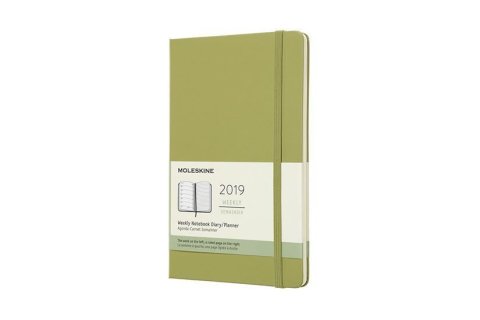neuveden: Moleskine: Plánovací zápisník 2019 tvrdý světle zelený L