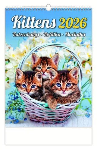 neuveden: Kalendář nástěnný 2026 - Kittens/Katzenbabys/Koťátka/Mačičky