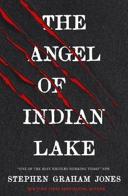 Jones Stephen Graham: The Angel of Indian Lake