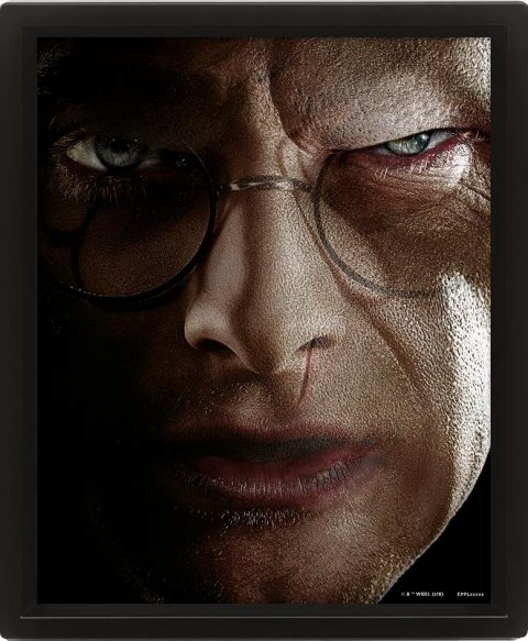 neuveden: Harry Potter Obraz 3D - Harry vs Voldemort