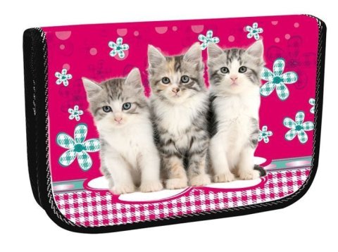 neuveden: Školní penál jednopatrový - Cats